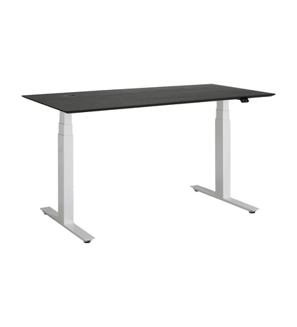 Bok Adjustable Desk -