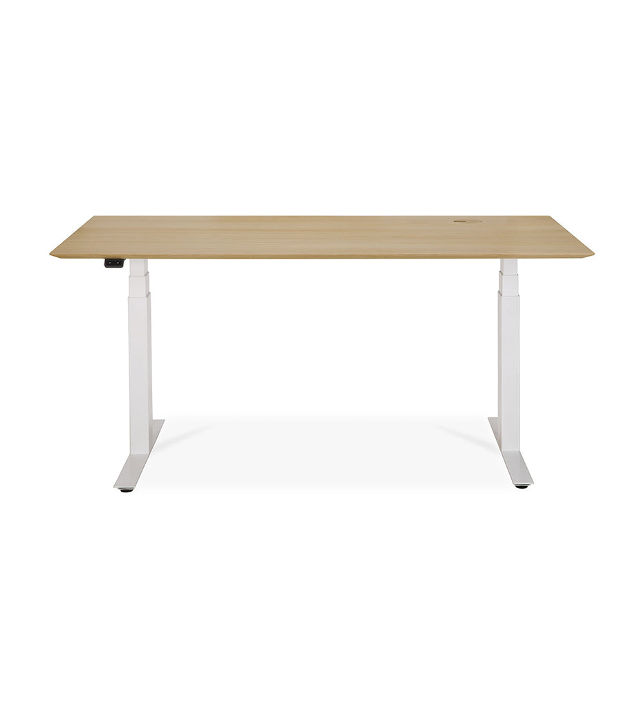 Bok Adjustable Desk -