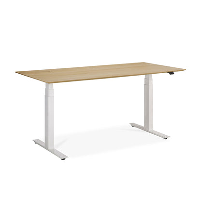 Bok Adjustable Desk -