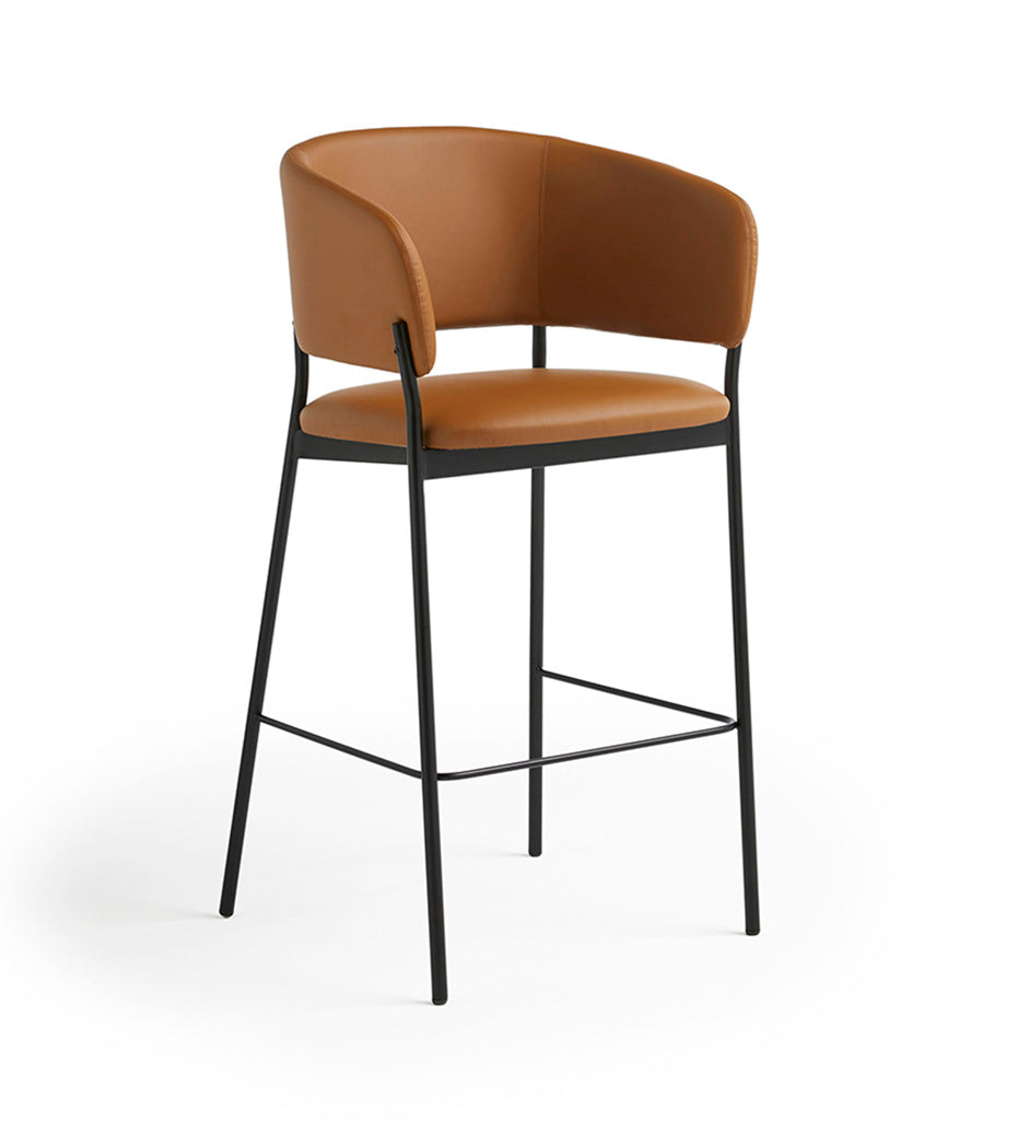 Blasco & Vila RC Metal Bar Stool w/ Armrest