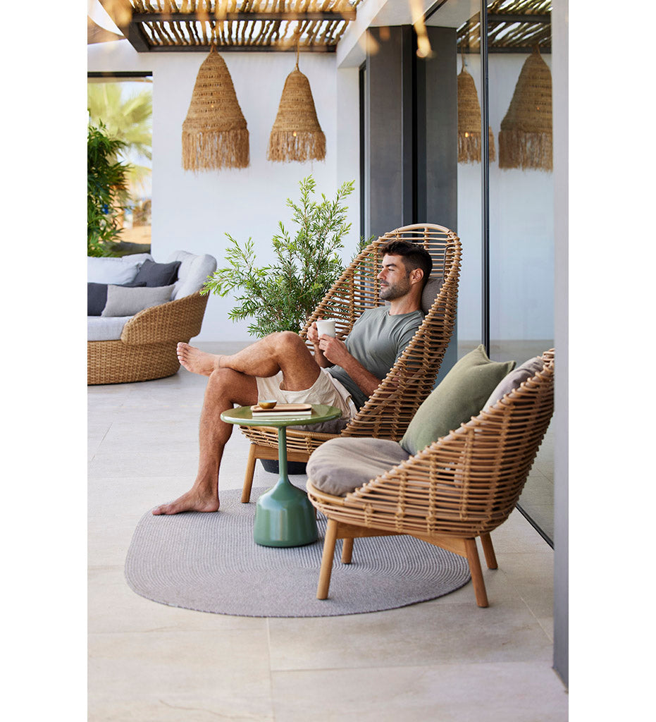 Hive Lounge Chair w/ Teak Legs