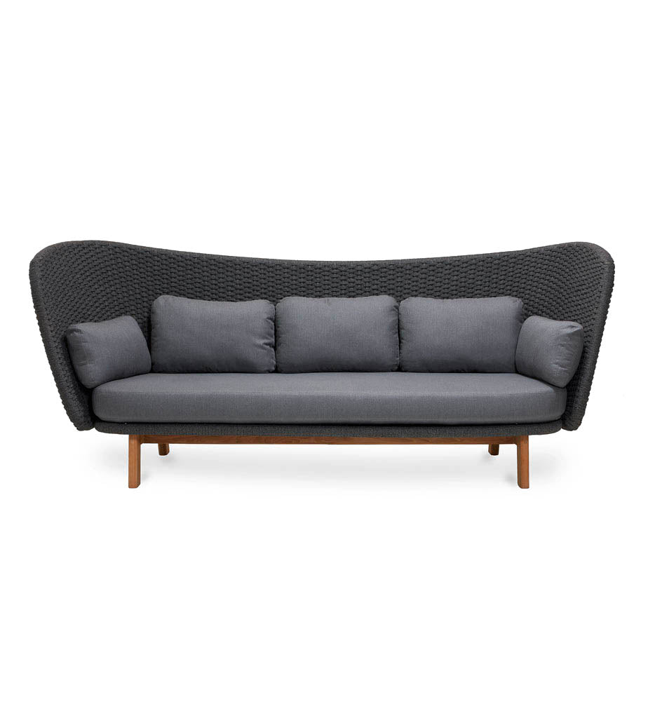 Peacock Wing 3-Seater Sofa with Teak Legs