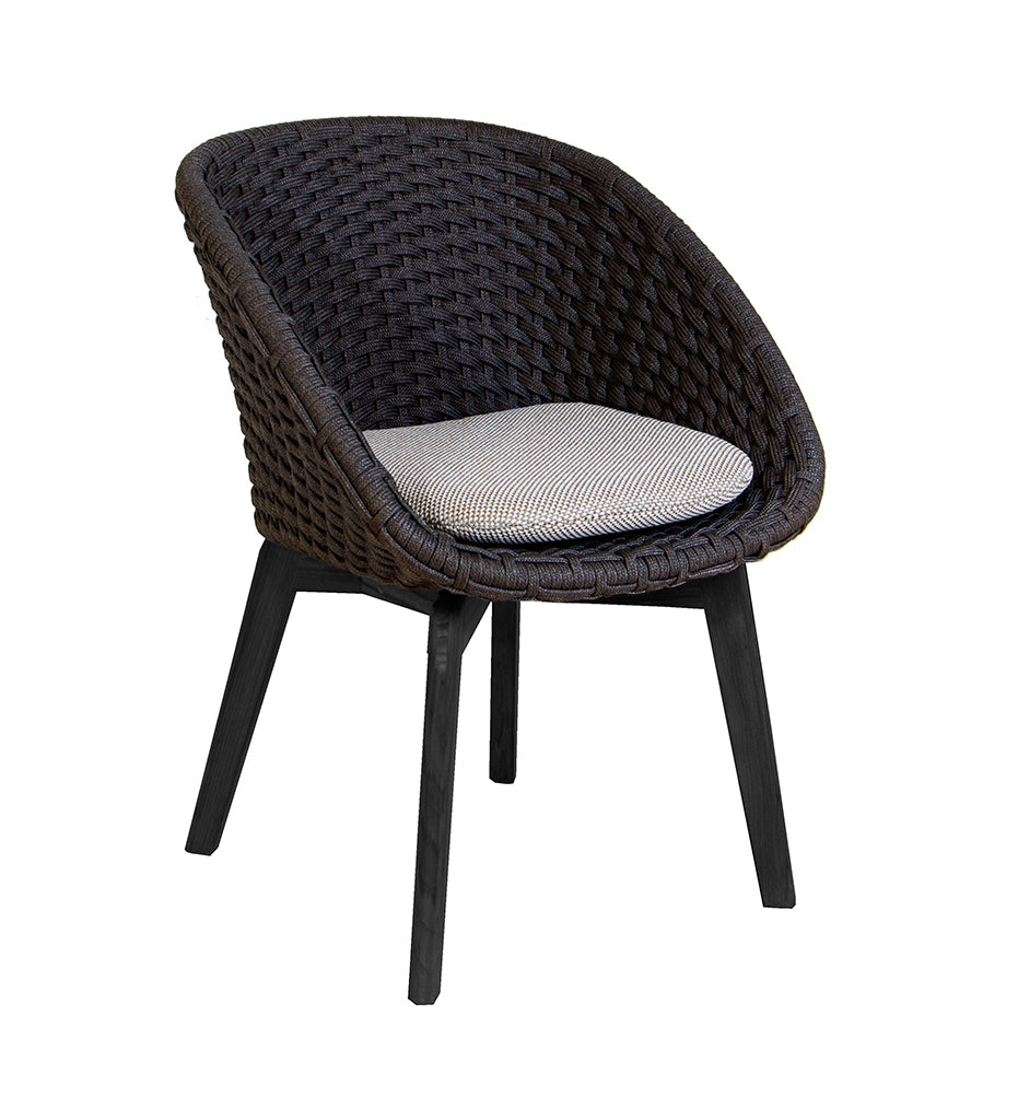 Peacock Chair w/ Black Aluminum Legs