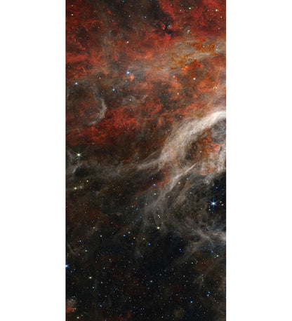 Tarantula Nebula Decorative Panels