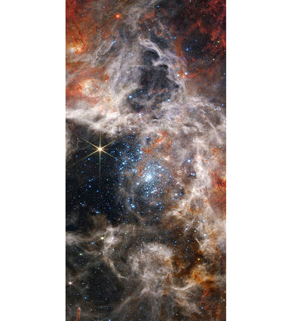 Tarantula Nebula Decorative Panels