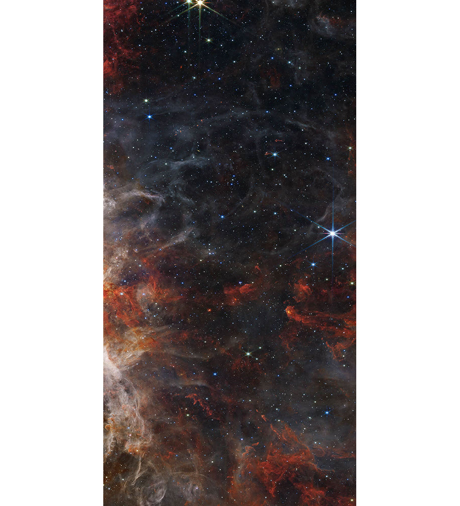 Tarantula Nebula Decorative Panels