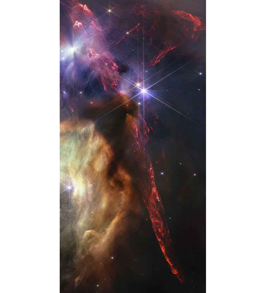 Rho Ophiuchi Decorative Panels