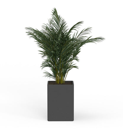 Montara X-Large Square Planter - Stacks -