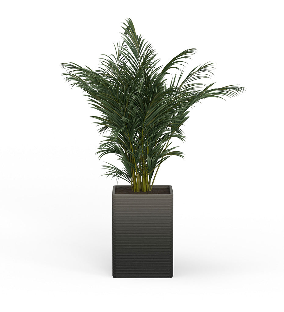 Montara X-Large Square Planter - Stacks -