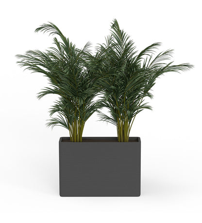 Avila X-Large Rectangular Planter - Stacks -