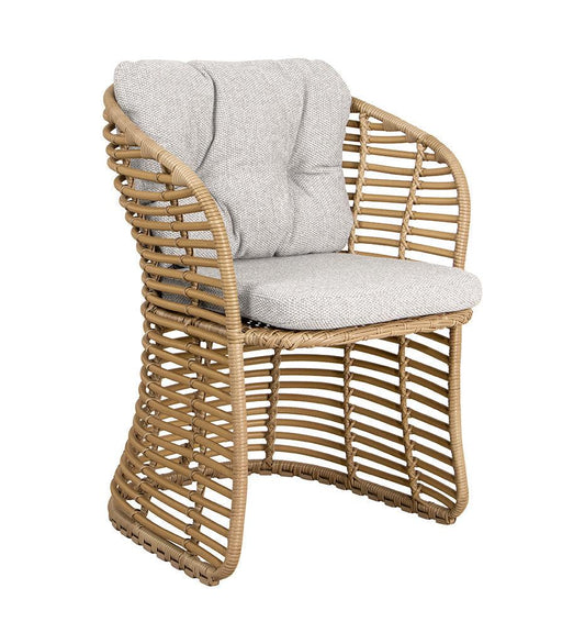 Allred Collaborative - Cane-line - Basket Chair - Basket Chair - 54100U