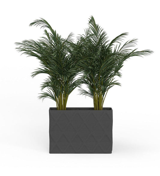 Allred Collaborative - Mobius - Avila X-Large Rectangular Planter - Diamond - - Avila X-Large Rectangular Planter - Diamond - Avila X-Large Rectangular Planter - Diamond - - Charcoal Ombre RCT1_32x46_0.24x1.25_PD1_HSLT