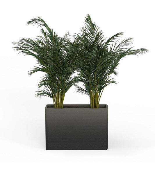 Allred Collaborative - Mobius - Avila X-Large Rectangular Planter - Stacks - - Avila X-Large Rectangular Planter - Stacks - Avila X-Large Rectangular Planter - Stacks - - Glacial RCT1_32x46_0.24x1.25_P01_GLCL