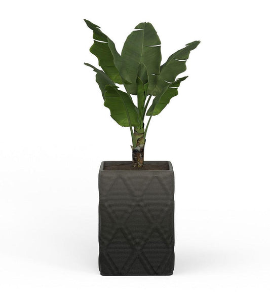 Allred Collaborative - Mobius - Montara Large Square Planter - Diamond - - Montara Large Square Planter - Diamond - Montara Large Square Planter - Diamond - - Glacial QDR1_26x19_0.24x1.25_PD1_GLCL