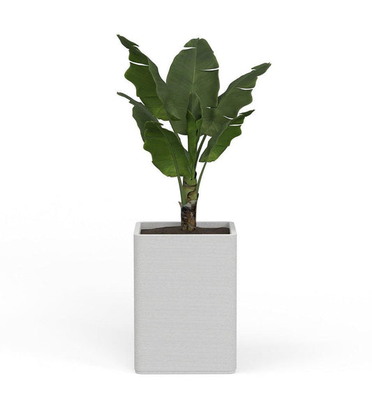 Allred Collaborative - Mobius - Montara Large Square Planter - Stacks - - Montara Large Square Planter - Stacks - Montara Large Square Planter - Stacks - - Glacial QDR1_26x19_0.24x1.25_P01_GLCL