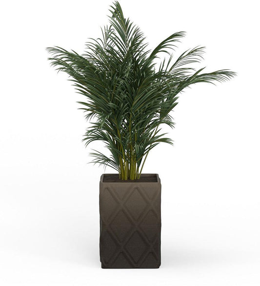 Allred Collaborative - Mobius - Montara X-Large Square Planter - Diamond - - Montara X-Large Square Planter - Diamond - Montara X-Large Square Planter - Diamond - - Charcoal QDR1_32x23_0.24x1.25_PD1_CHRC