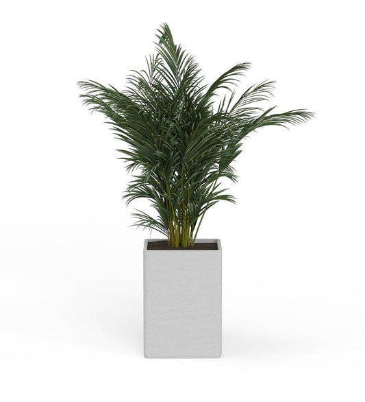 Allred Collaborative - Mobius - Montara X-Large Square Planter - Stacks - - Montara X-Large Square Planter - Stacks - Montara X-Large Square Planter - Stacks - - Glacial QDR1_32x23_0.24x1.25_P01_GLCL