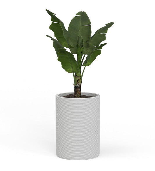 Allred Collaborative - Mobius - Solana Large Round Planter - Stacks - - Solana Large Round Planter - Stacks - Solana Large Round Planter - Stacks - - Terra Buff CYL1_26x19_0.24x1.25_P01_TRRB