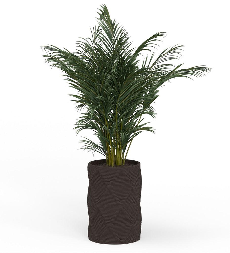 Allred Collaborative - Mobius - Solana X-Large Round Planter - Diamond - - Solana X-Large Round Planter - Diamond - - CYL1_32x23_0.24x1.25_PD1_HSLT