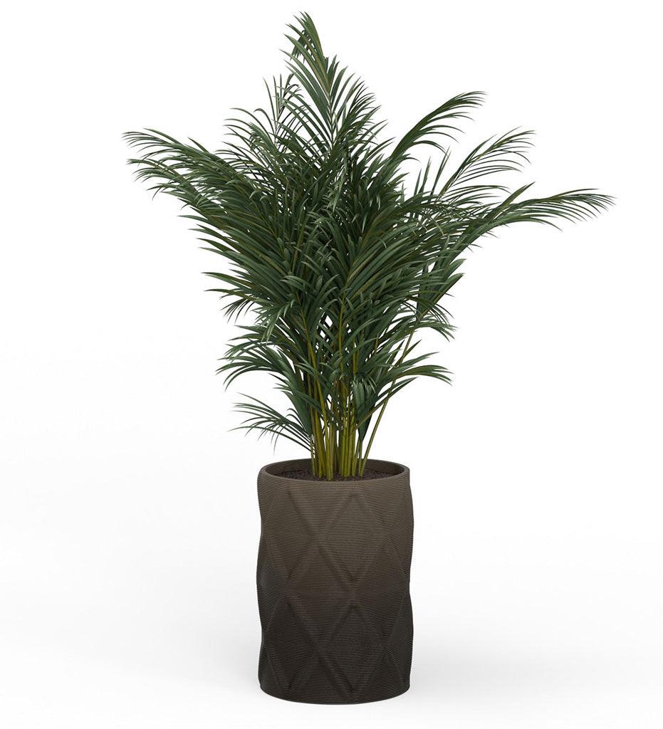 Allred Collaborative - Mobius - Solana X-Large Round Planter - Diamond - - Solana X-Large Round Planter - Diamond - - CYL1_32x23_0.24x1.25_PD1_HSLT