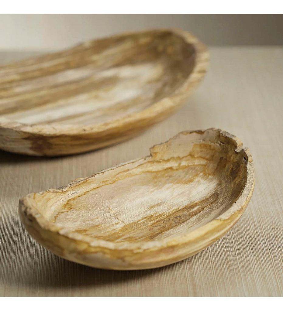 Allred Collaborative - Zodax - Curio Bay Petrified Wood Oval Bowl - Curio Bay Petrified Wood Oval Bowl - ID-421