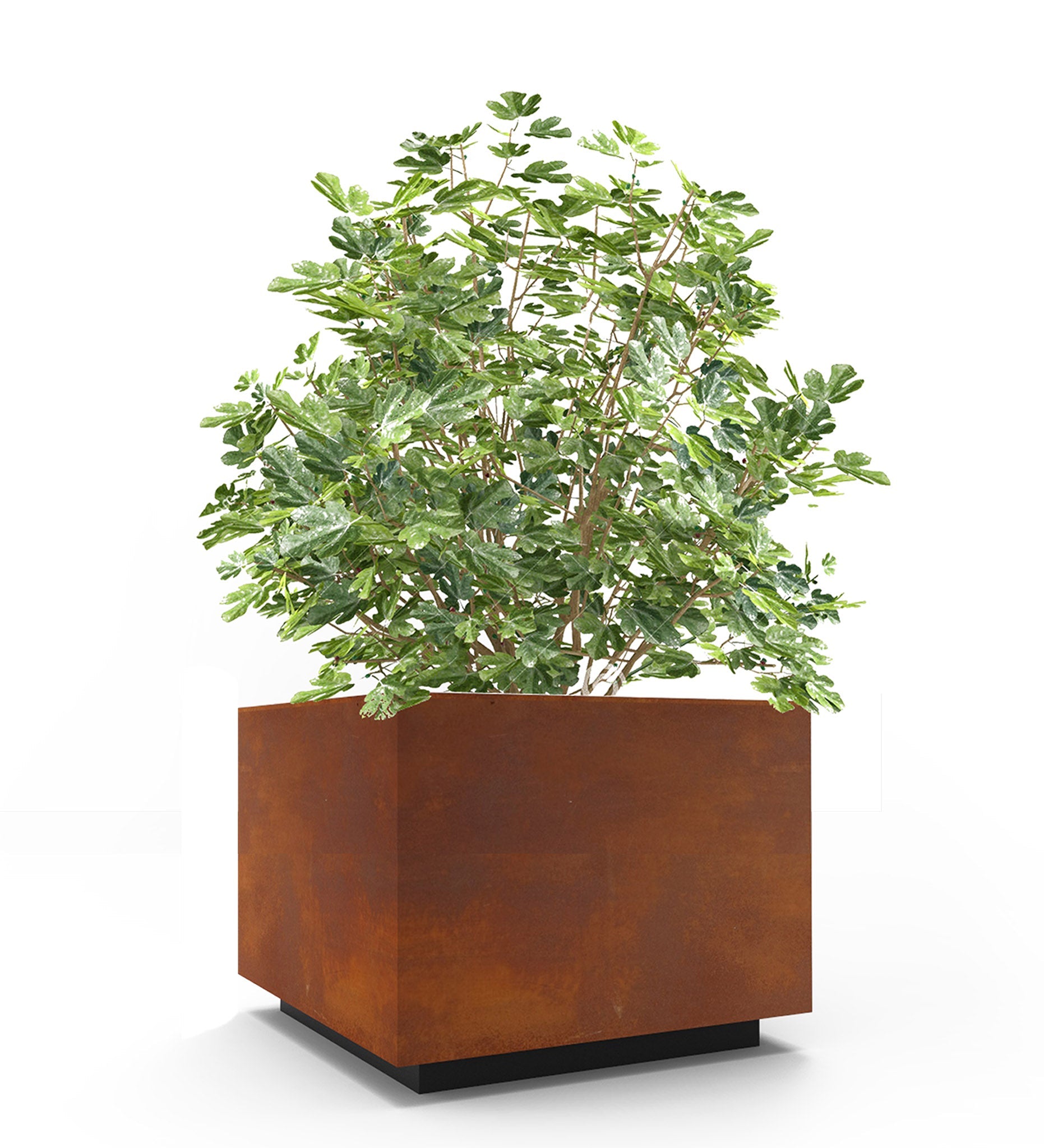 CitySi Marrakech Wide Planter - Medium