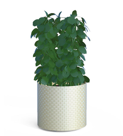 CitySi Pattern Planter - Round